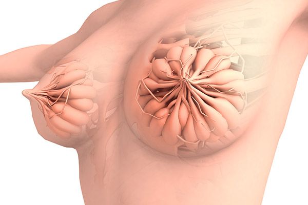 乳腺增生禁忌五种食物 乳腺增生不能吃的食物(图2)