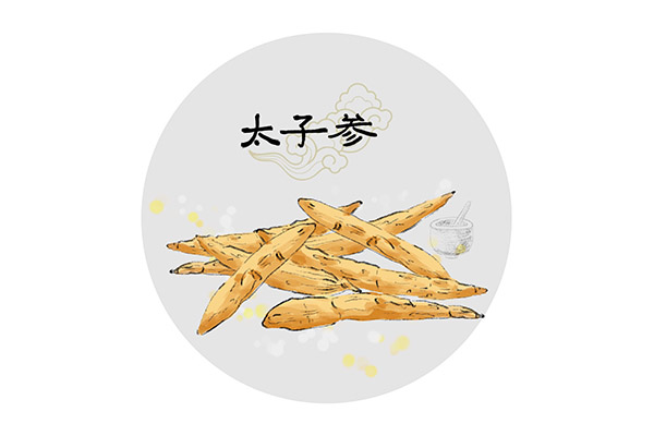 太子参的功效与作用 太子参有什么用处(图2)